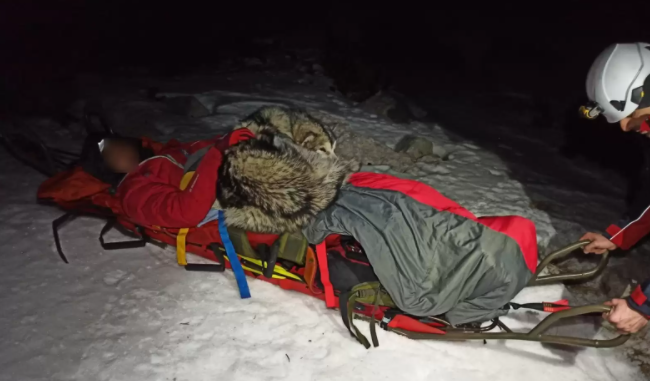 Treuer Hund hält verletzten Wanderer die ganze Nacht warm, bis Hilfe eintrifft