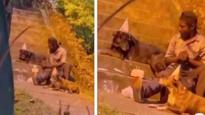 Kamera filmt obdachlosen Mann, der die süßeste Geburtstagsparty für seinen Hund schmeißt