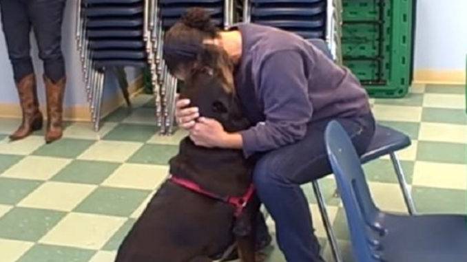 Frau trifft ihren besten Freund, einen Rottweiler, nach 2 Jahren Trennung im Tierheim wieder