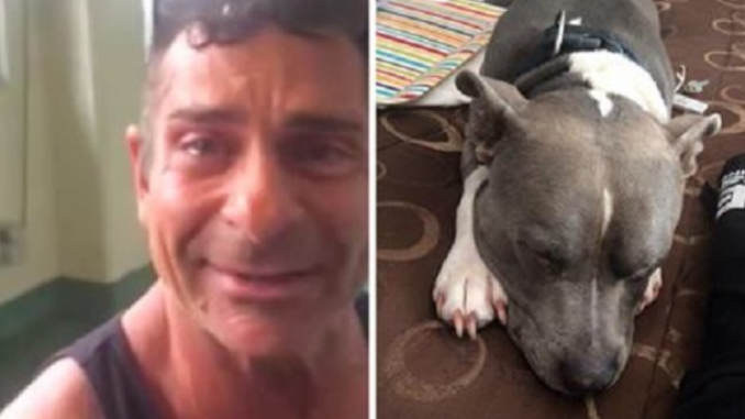 Mann trifft unter Tränen seinen gestohlenen Hund nur zwei Tage bevor der Einschläferung
