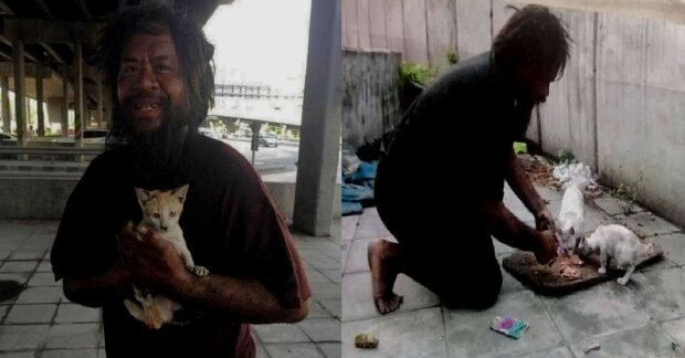 Ein Obdachloser füttert jeden Tag Straßenkatzen, während er selbst nicht genug isst